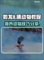 如龙8动物喂养大揭秘！🐾轻松上手教程