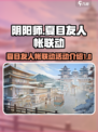 阴阳师夏目友人帐联动有哪些活动介绍