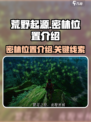 🔥荒野起源：密林位置大揭秘！💎