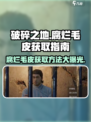 破碎之地腐烂毛皮怎么获取介绍