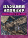 权力之望🔥防具精通类型大全，特点曝光！
