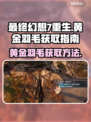 最终幻想7重生🔥黄金羽毛获取全攻略💎