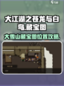 大江湖之苍龙与白鸟大雪山藏宝图攻略介绍