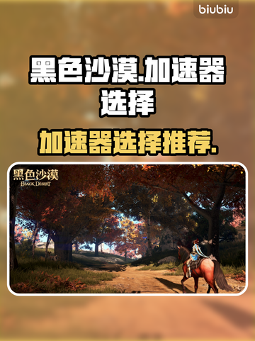 黑色沙漠🔥必用加速器推荐，玩手游必备！截图1