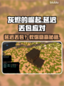 🔥灰烬的崛起丢包？速看解决妙招！💥