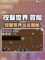 《🎮挖掘世界爆火玩法揭秘！》