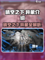 晴空之下异象🔥《原神》隐藏彩蛋全揭秘！