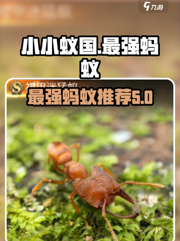 小小蚁国🔥新赛季最强蚂蚁推荐ANTS截图1