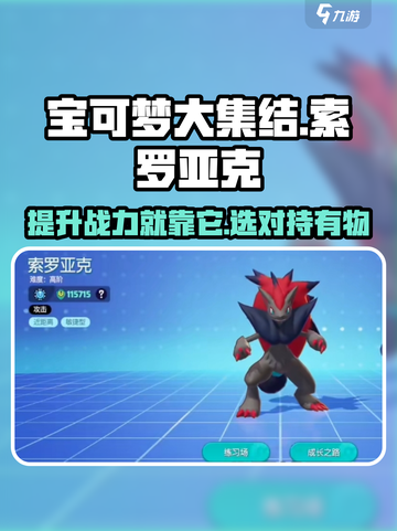 宝可梦大集结索罗亚克持有物怎么选介绍截图1