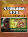 万龙觉醒💥宠物选择大揭秘！💎必看攻略