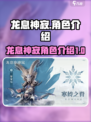龙息神寂图鉴分享介绍