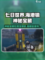 七日世界海港镇神秘宝藏在哪里介绍
