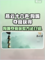 燕云十六声狗嘴夺食获得介绍介绍