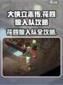 大侠立志传花四娘入队攻略介绍