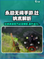永劫无间手游🔥吐纳术作用及获取方式大揭秘！