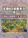 🔥文明6白金版售价曝光！🎮💥
