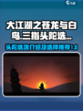 大江湖之苍龙与白鸟三指头陀选项介绍介绍