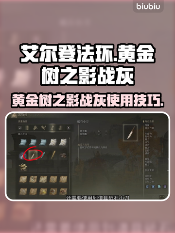 艾尔登法环🔥黄金树之影战灰用法大揭秘！截图1