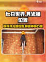 七日世界月光蛾是什么介绍