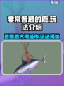 非常普通的鹿好玩吗介绍
