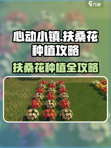 心动小镇扶桑花种植攻略！🌺截图1