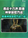 燕云十六声如来神掌如何获取介绍