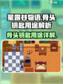星露谷物语骨头钥匙是什么用的介绍