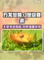 万龙觉醒🔥T3兵种主堡几级？速看！