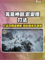 龙息神寂淤泥怪怎么打介绍