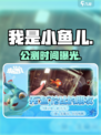 🎮《我是小鱼儿》公测时间曝光！