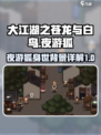 大江湖之苍龙与白鸟夜游狐身世介绍介绍