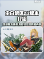 尘白禁区2.2版本介绍介绍