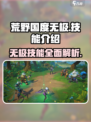 荒野国度无极怎么样介绍