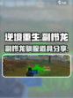 逆境重生：副栉龙驯服道具大曝光🔥🦖
