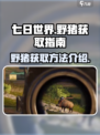 七日世界前期野猪怎么获得介绍