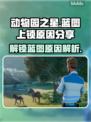 动物园之星🌟蓝图上锁？原因曝光，速看！