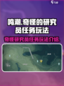 鸣潮奇怪的研究员任务怎么玩介绍