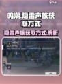鸣潮⚡隐雷声核获取攻略，玩家必看！