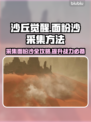 沙丘觉醒🔥面粉沙超简单采集方法！轻松GET游戏技巧🎮