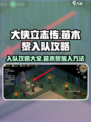 大侠立志传🔥苗木黎入队超详细攻略来啦！