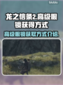 龙之信条2💎高级眼镜获取秘籍💥