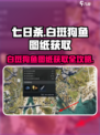 七日世界白斑狗鱼图纸获取攻略介绍