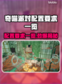 奇喵派对配置要求💡低配电脑能玩吗？🎮