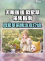 无限暖暖风絮草在哪采集介绍