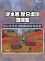 逆水寒🔥昆仑虚地图秘境入口 revealed！快速进入攻略🎉