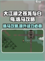大江湖之苍龙与白鸟选马攻略介绍
