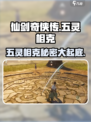 仙剑世界五灵反应介绍介绍