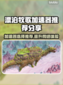 漂泊牧歌加速器推荐🎉游戏党必看！