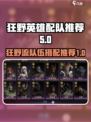 龙息神寂狂野流队伍推荐介绍