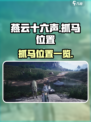 燕云十六声马在哪抓介绍